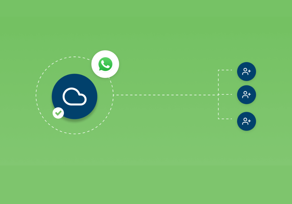 Official Meta API Access
